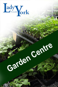 Lady York Foods Garden Centre is now OPEN!